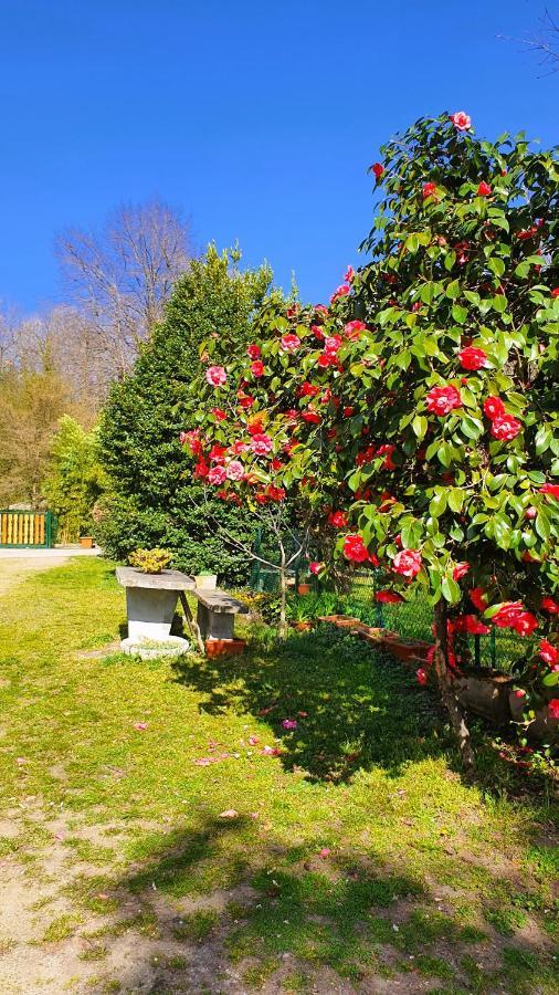 Il Casolare Del Medio Olona Bed and Breakfast Fagnano Olona Buitenkant foto